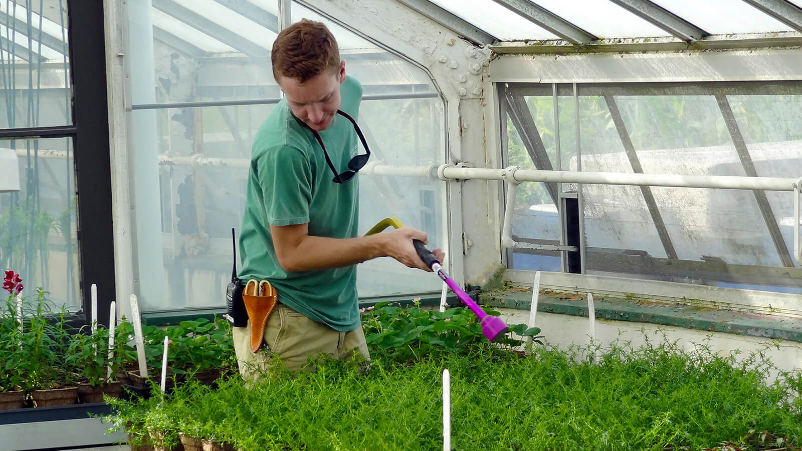 where do garden care employees work at​